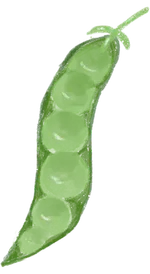 Corn Icon