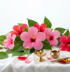 Fresh Hibiscus