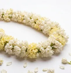 Fragrant Jasmine
