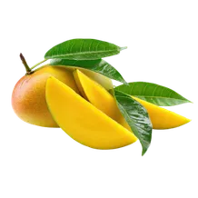 Fresh Choice