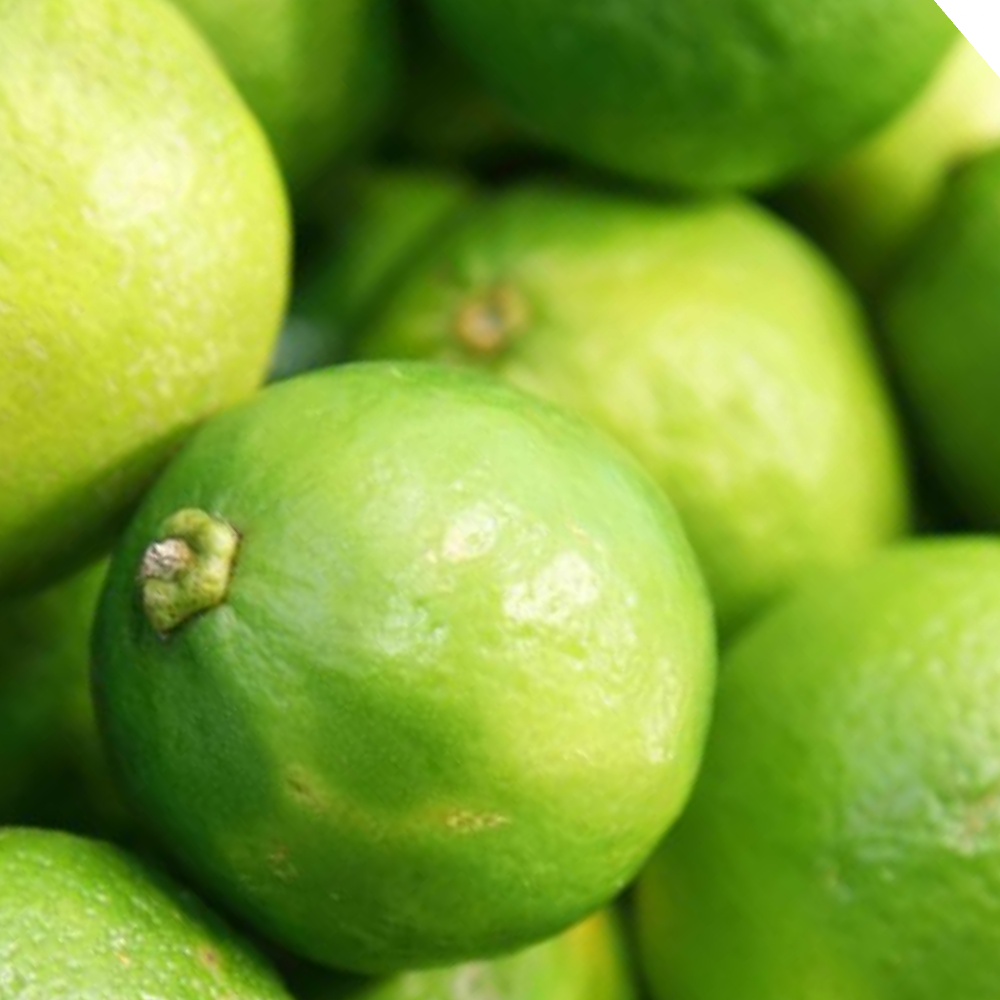 Fresh Green Lime (Elumicchai, Nimmakaya, Naranga) – 5 per pack