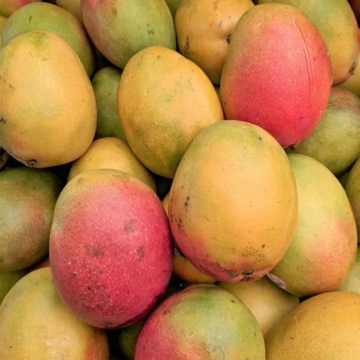 Haden Mango, Haden Maangai, Haden Mamidi, Haden Maampazham, Haden Aam - 1 Box (9 lb)