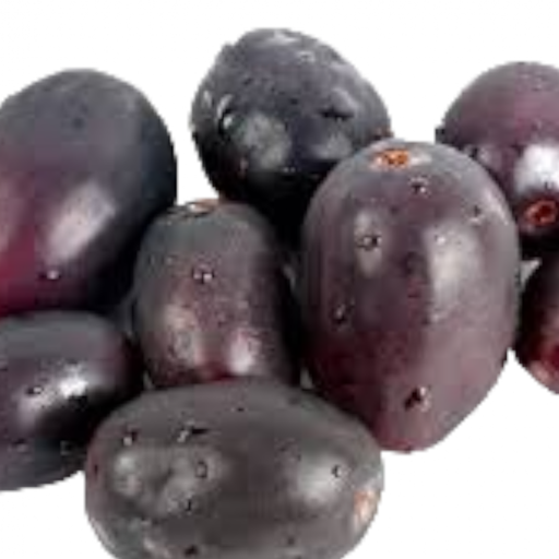 Naval palam, Java Plum, Neredu, Neram, Jamun - 1 pack