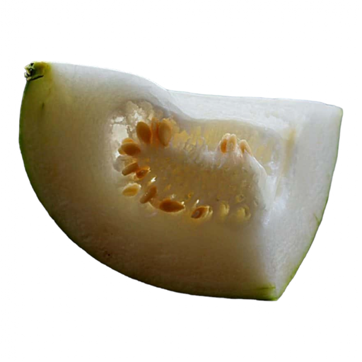 Fresh Ash Gourd (Pusanikkay, Budida gummadikaya, Kumpalanna) – 1 Pack