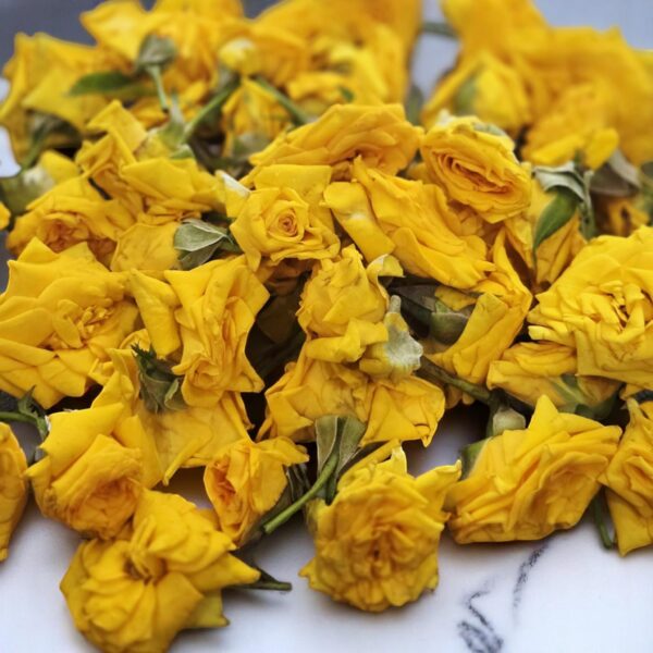 Button Rose Fresh Flower, Roja Pu, Gulabi Puvvu, Ros Puv, Gulab ka Phool - Image 3