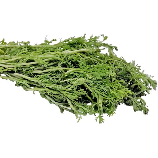 Marikolunthu Leaf