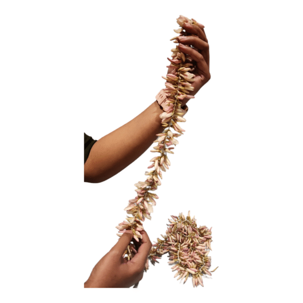 Pichi, Jathi Malli Fresh Flower Strings 6 feet - Image 3
