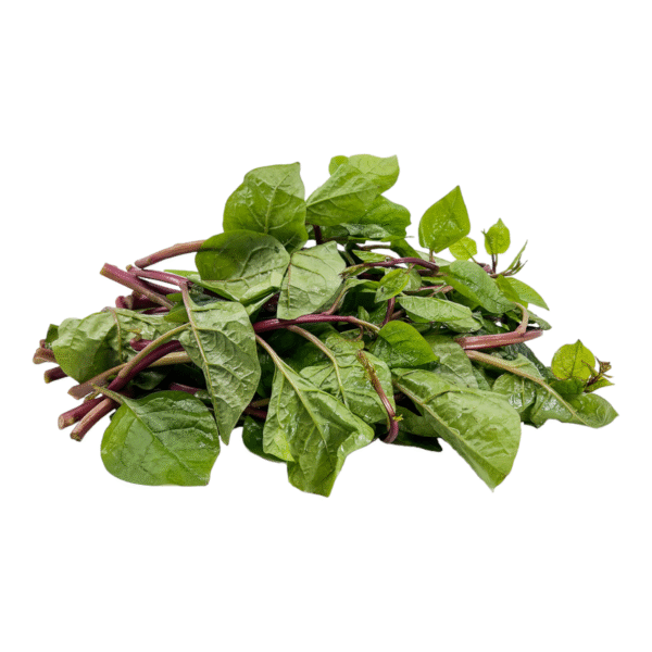 Fresh Malabar Spinach – 1 Bunch | Kodipasalai Keerai | Bacchali Koora