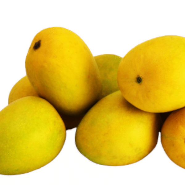 Kesar Mango – 1 Box (8–10) | Sweet, Saffron-Hued Premium Mangoes