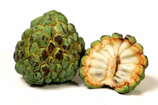 Custard Apple – 1 Each | Fresh Seethapazham Fruit Online