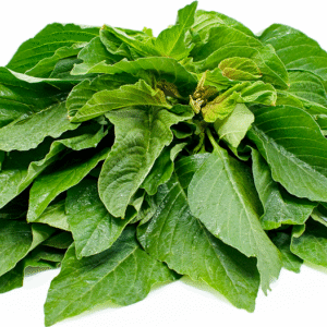 Fresh Amaranth Leaves – 1 Bunch | Thandu Keerai | Rajgira Leaves